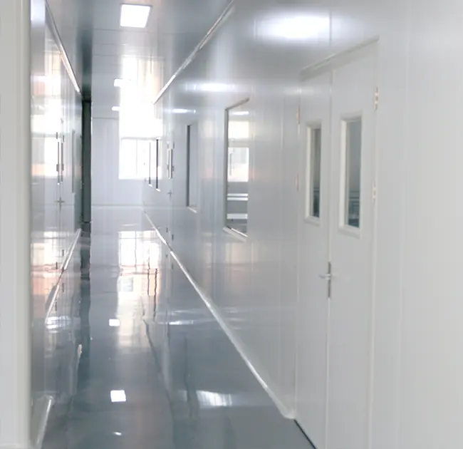 GMP 표준 현대 청정실을 갖춘 전문 내시경 청소 브러시 ​​공장